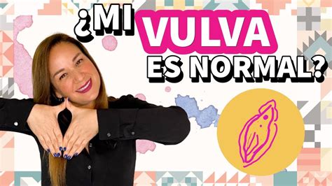 videos de vaginas|Todo sobre la vulva: sus partes, qué hacen, cómo explorarla.